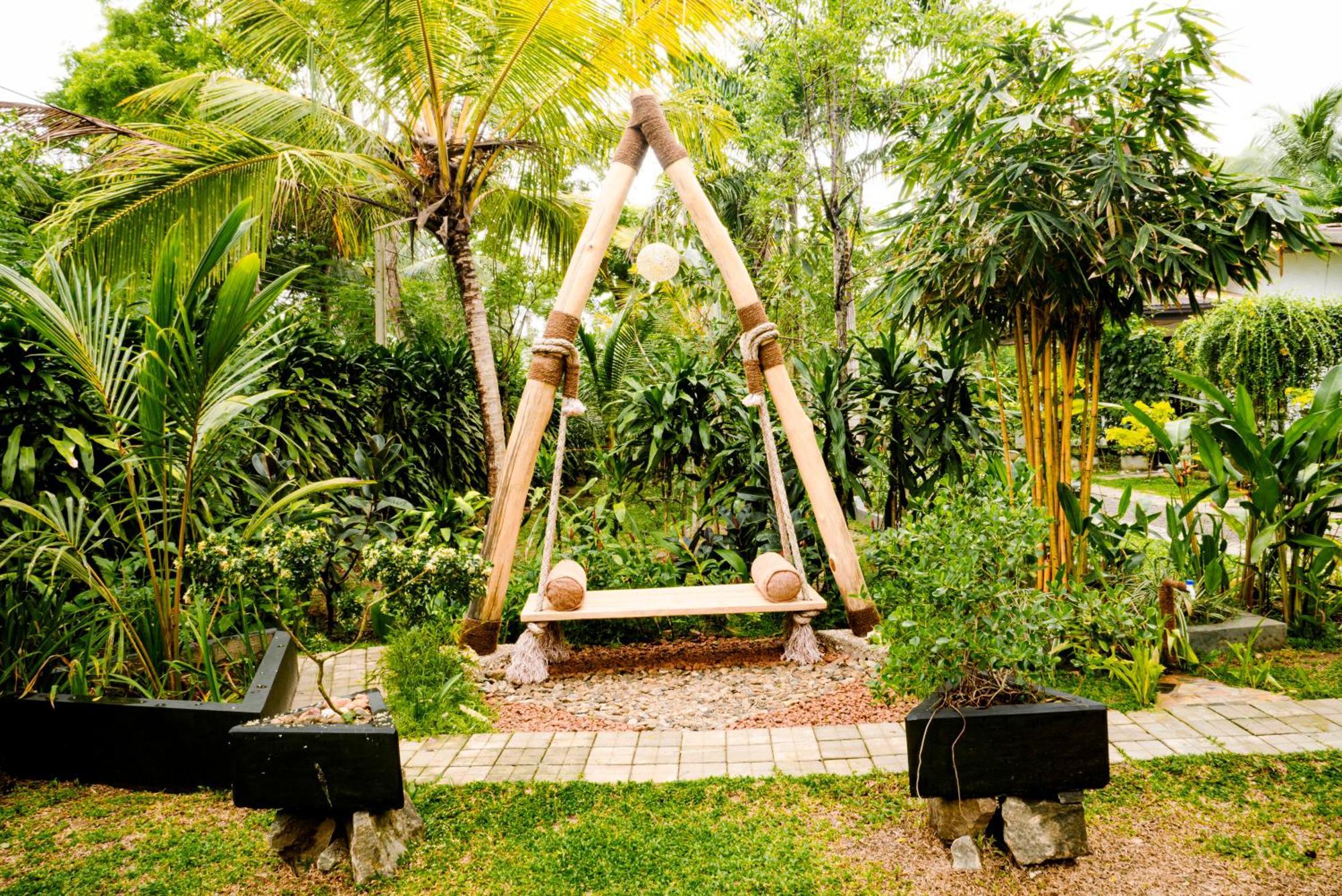 षाले The Triangle