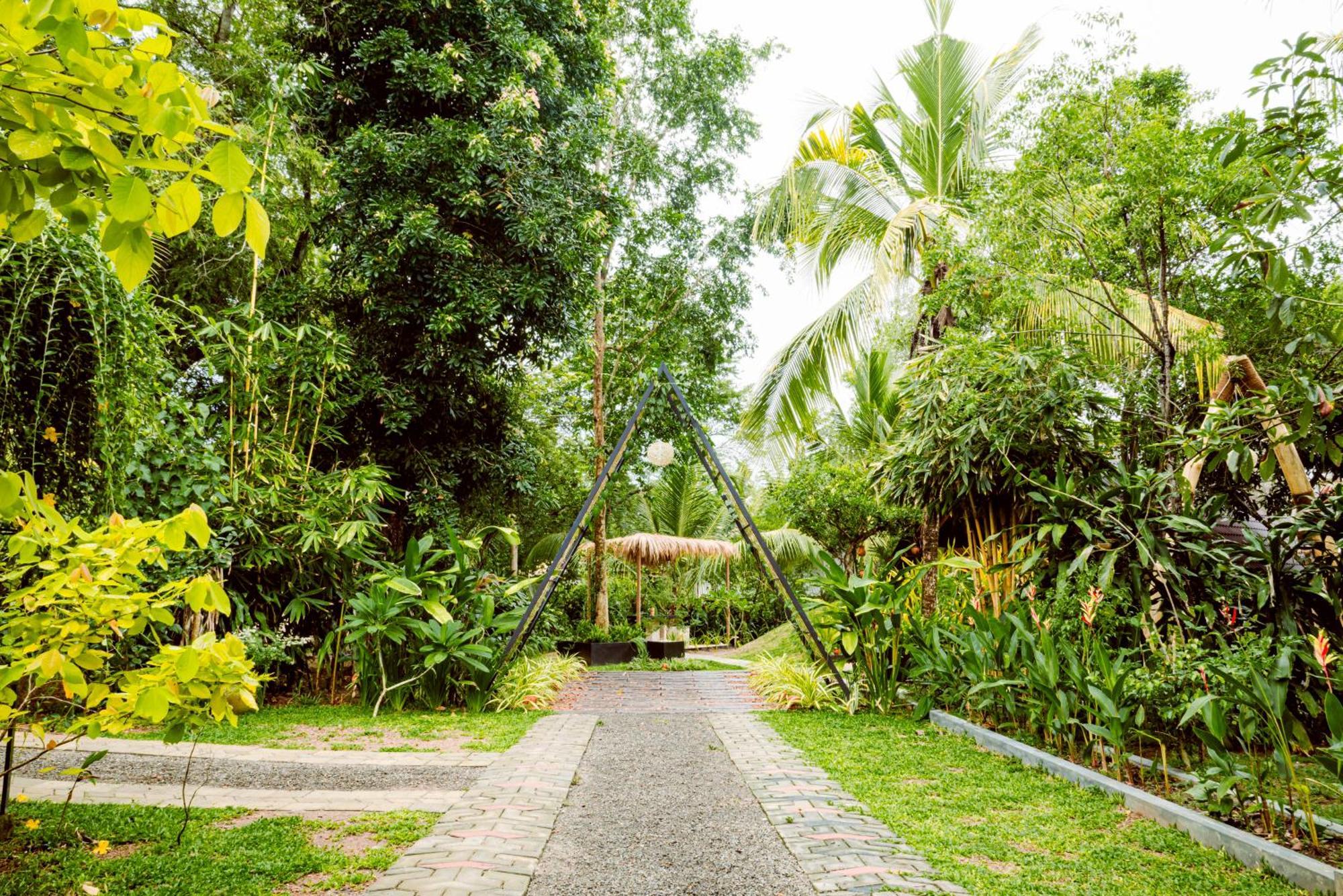 The Triangle * Tangalle